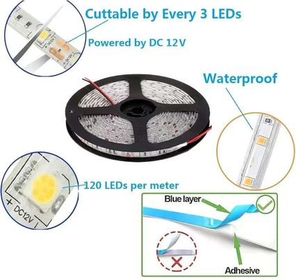 유연한 LED 스트립 라이트 600 유닛 LED 스트립 수질 12 볼트 LED 라이트 스트립 16.4ft/5m의 패키지 휴일 가정 파티 실내 외관 장식 수질 흰색 1 패키지