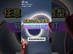 유연한 네온 빛 스트립