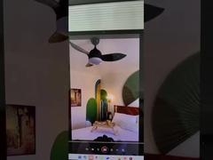 LED 천장 팬 라이트 좋은 품질의 베스트 셀러